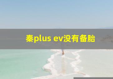 秦plus ev没有备胎